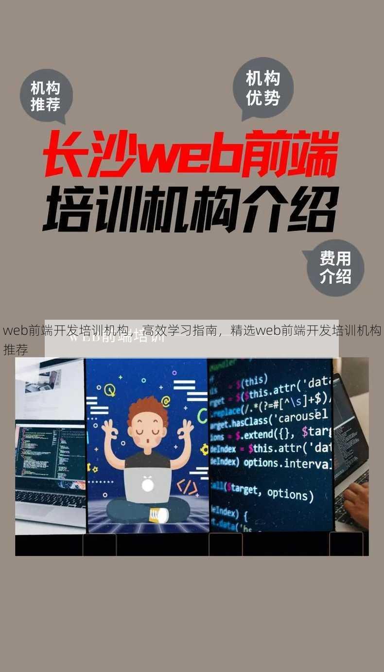web前端开发培训机构