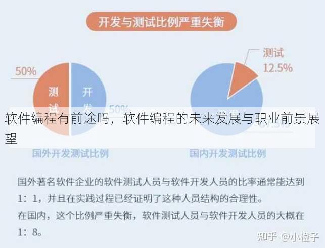 软件编程有前途吗