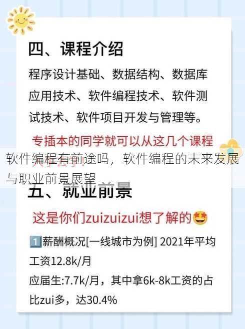 软件编程有前途吗