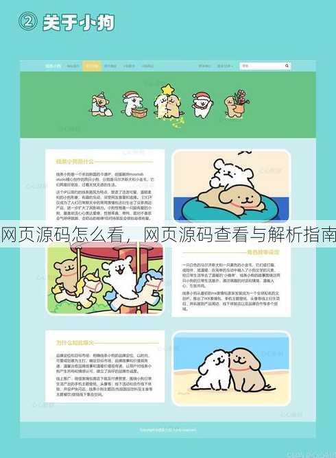 网页源码怎么看