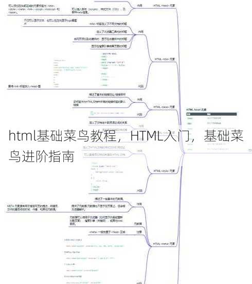 html基础菜鸟教程