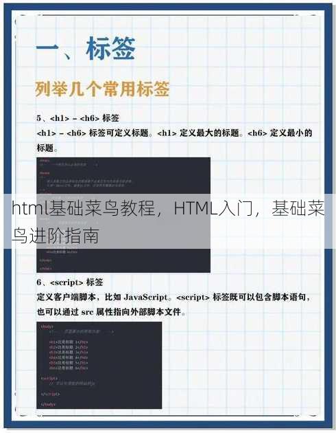 html基础菜鸟教程