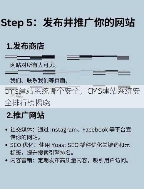 cms建站系统哪个安全