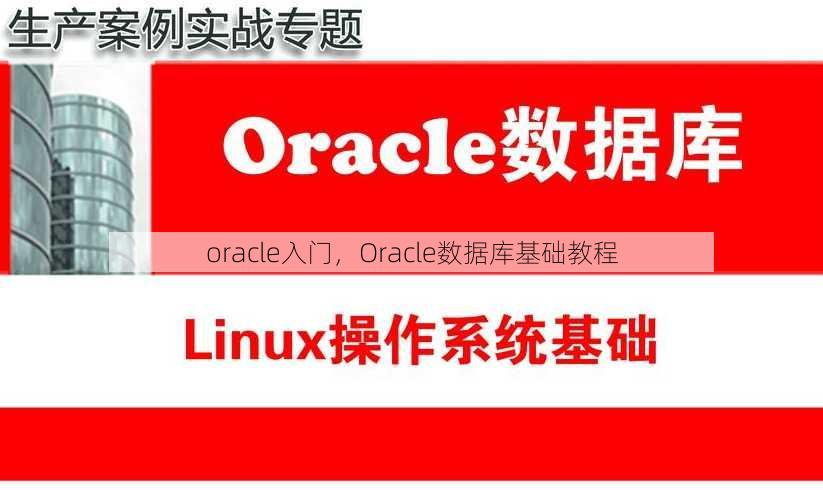 oracle入门