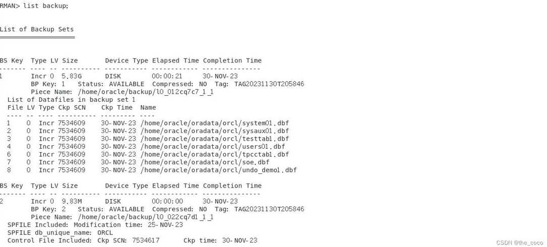 oracle进入rman模式（oracle rman catalog）