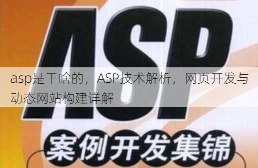 asp是干啥的