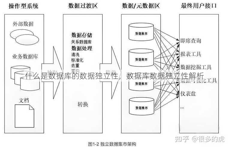 什么是数据库的数据独立性