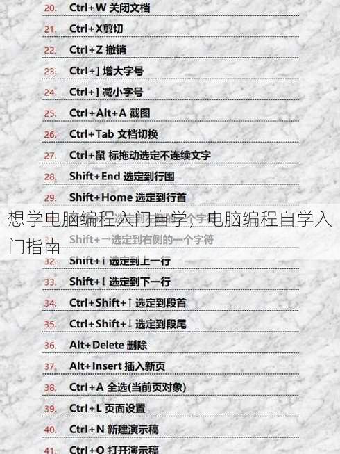想学电脑编程入门自学