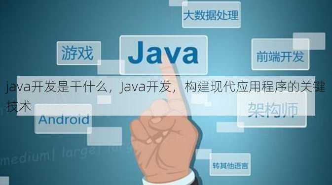 java开发是干什么