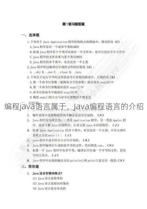编程java语言属于