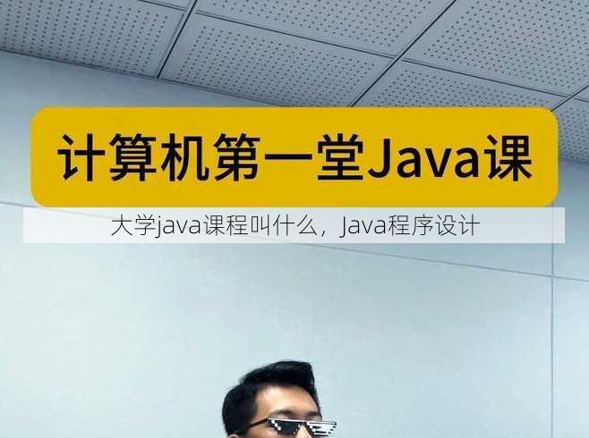 大学java课程叫什么