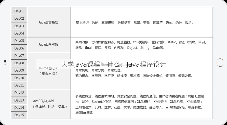 大学java课程叫什么