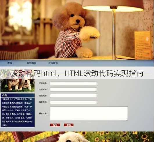 滚动代码html