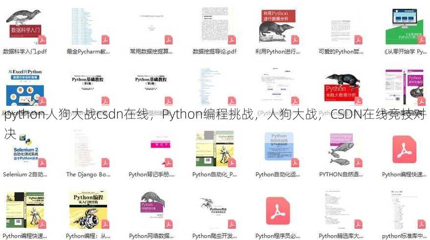 python人狗大战csdn在线