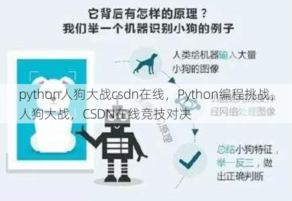 python人狗大战csdn在线