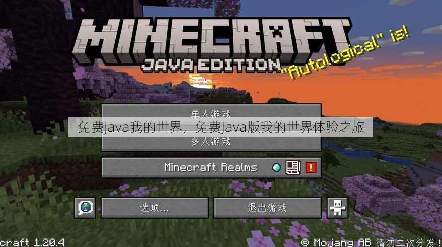 免费java我的世界