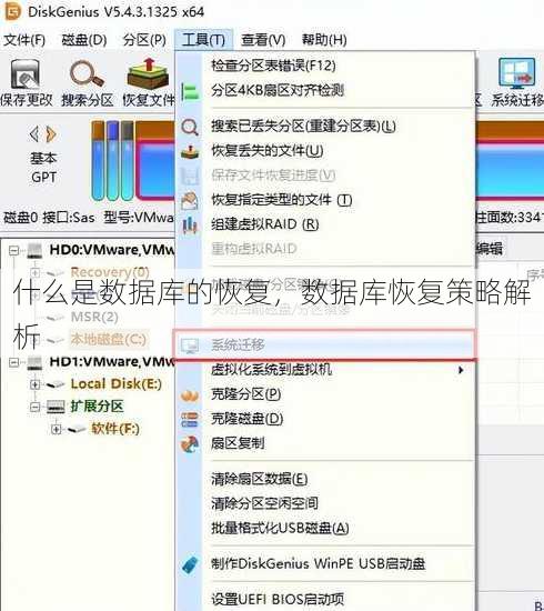 什么是数据库的恢复