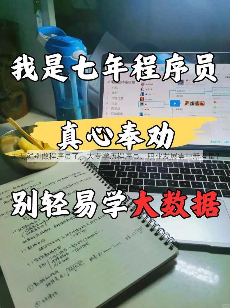 大专就别做程序员了
