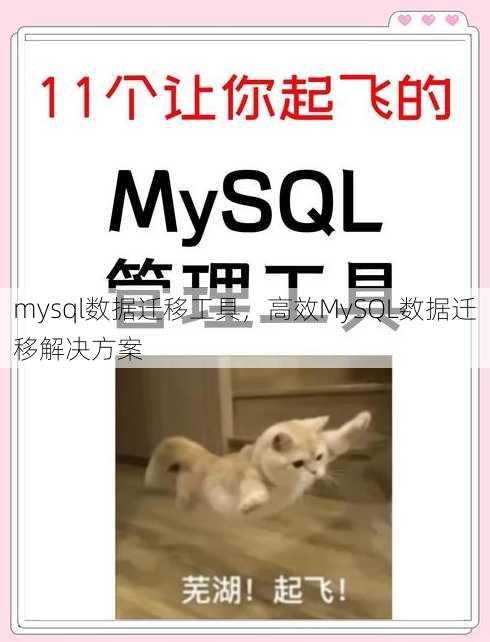 mysql数据迁移工具