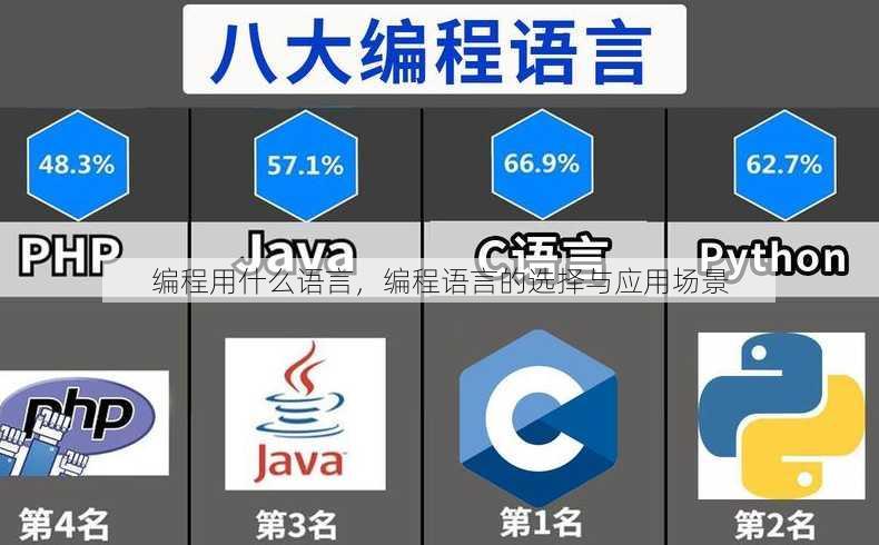 编程用什么语言