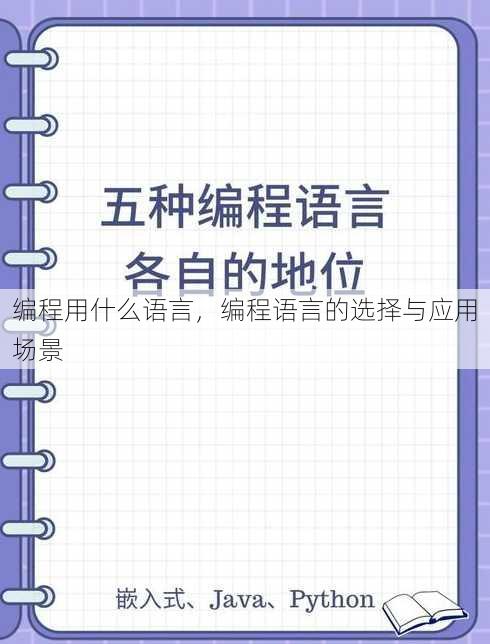 编程用什么语言