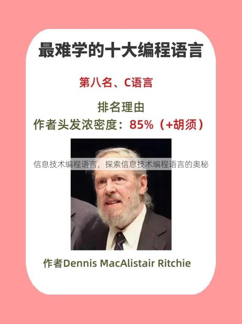 信息技术编程语言