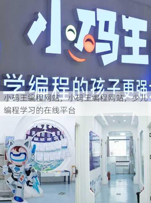 小码王编程网站