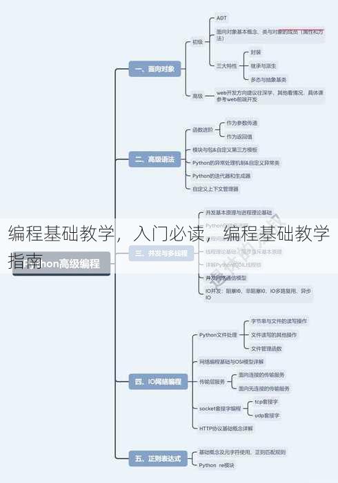 编程基础教学