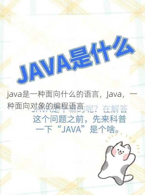 java是一种面向什么的语言