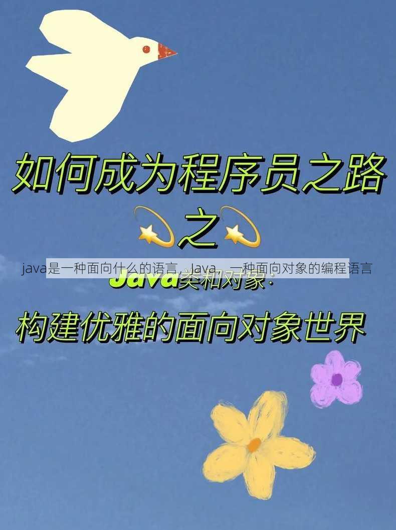 java是一种面向什么的语言