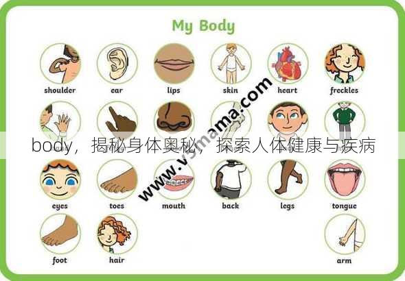 body