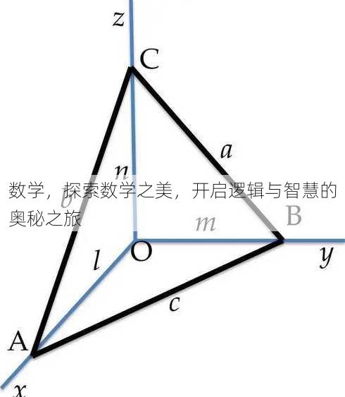 数学