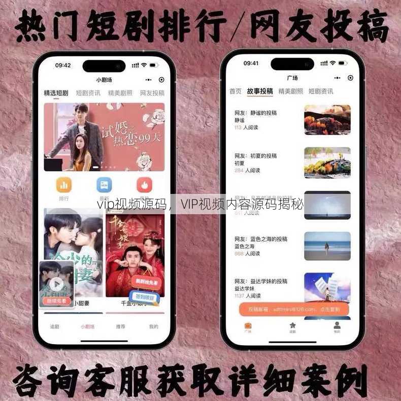 vip视频源码