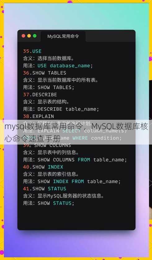 mysql数据库常用命令
