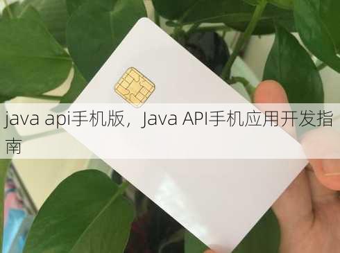 java api手机版