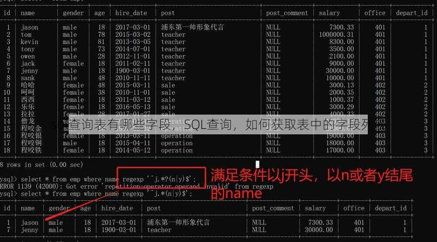 sql查询表有哪些字段