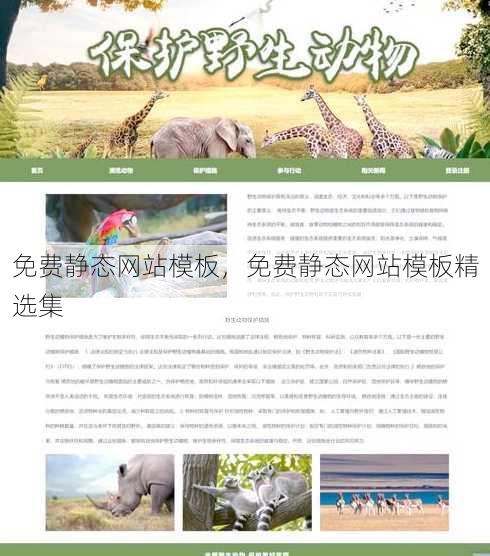免费静态网站模板