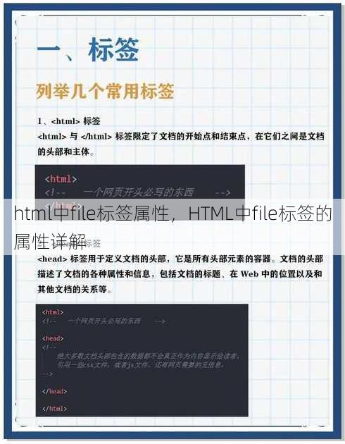 html中file标签属性