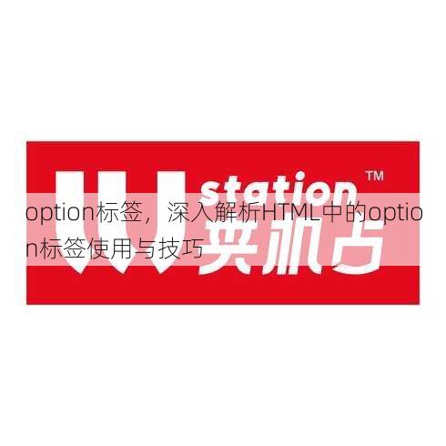 option标签