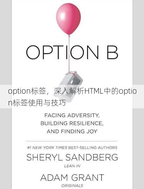 option标签