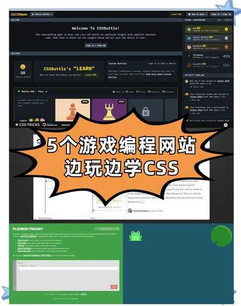 编程网站入口网页版（编程网站cn）