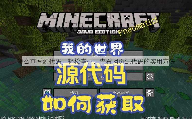 怎么查看源代码