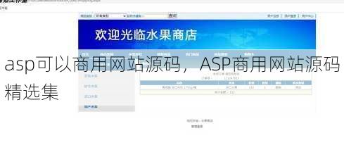 asp可以商用网站源码