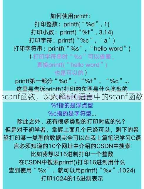 scanf函数