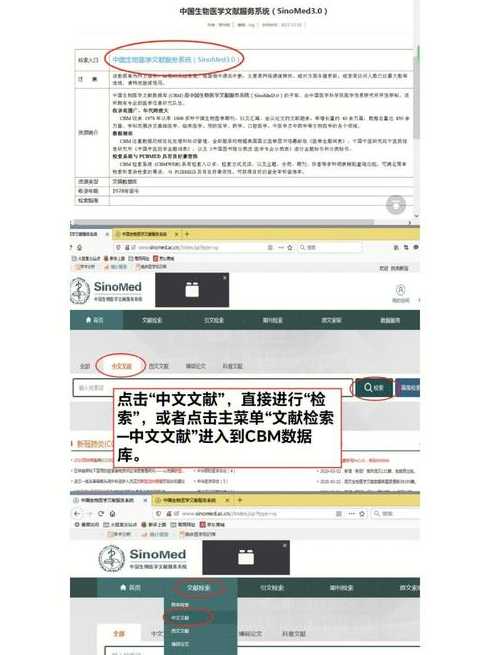 文献数据库有哪些（如何查找文献）