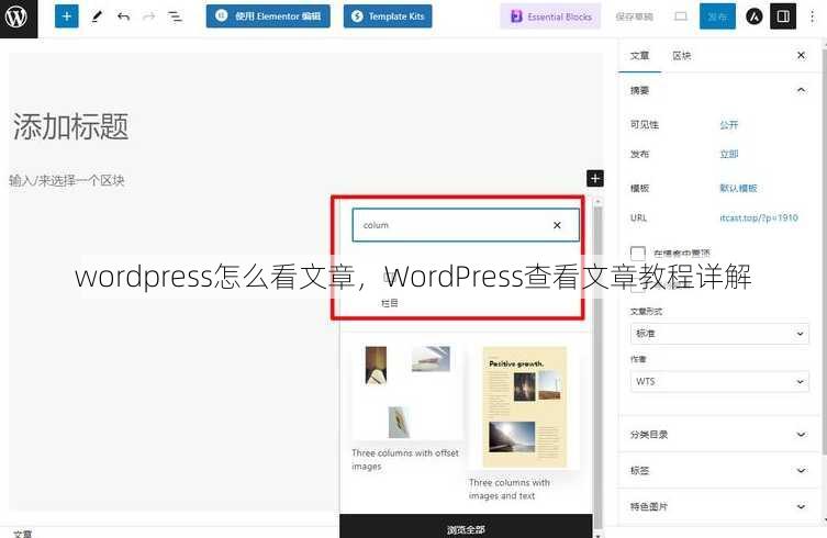 wordpress怎么看文章