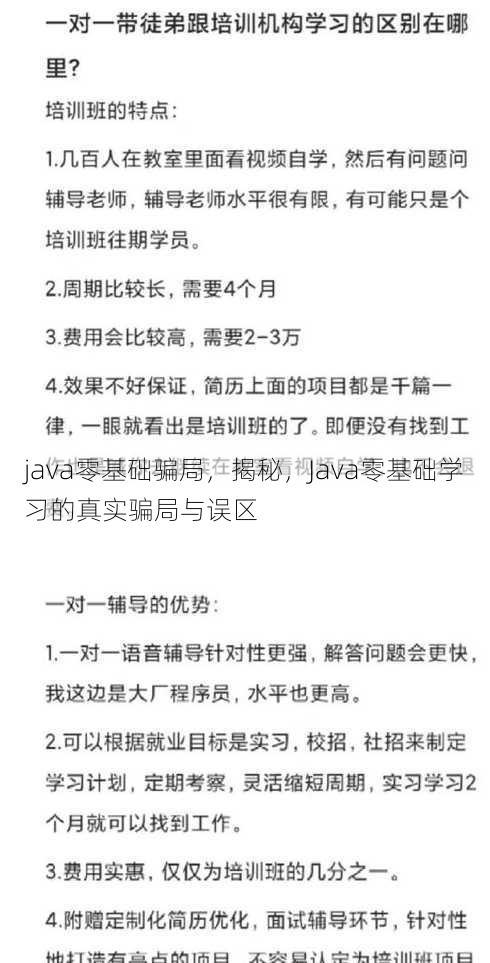 java零基础骗局