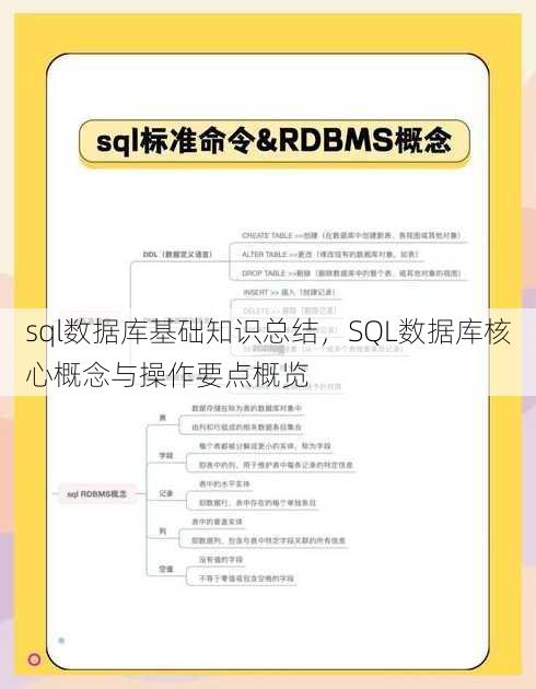 sql数据库基础知识总结