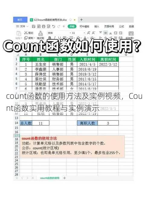 count函数的使用方法及实例视频