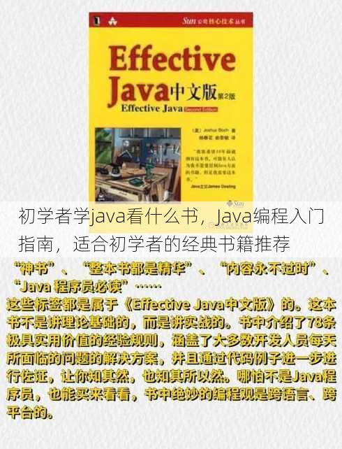 初学者学java看什么书